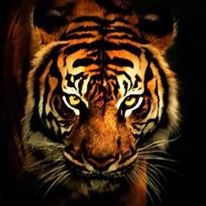 Meet your Posher, Nate